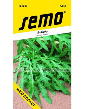 Roketa WILD ROCKET