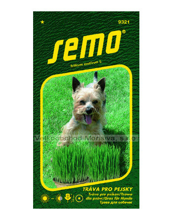Tráva pro pejsky