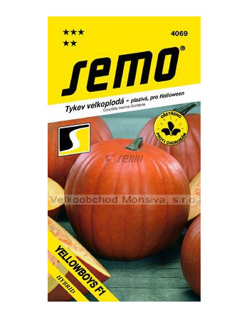 Tykev YELLOWBOYS F1 - pro Halloween