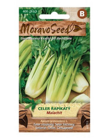 Celer řapíkatý MALACHIT MS