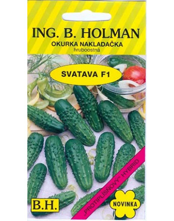 Okurka Svatava Holman