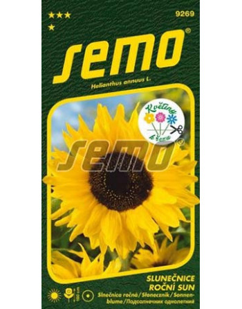 Slunečnice SUN roční