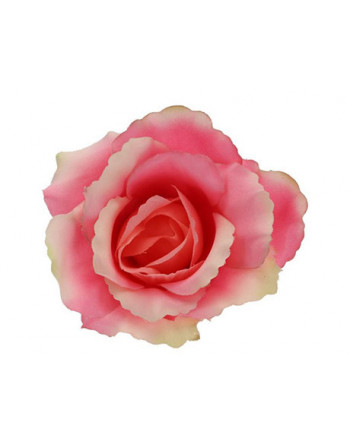 Růže vazb. růžová,13cm