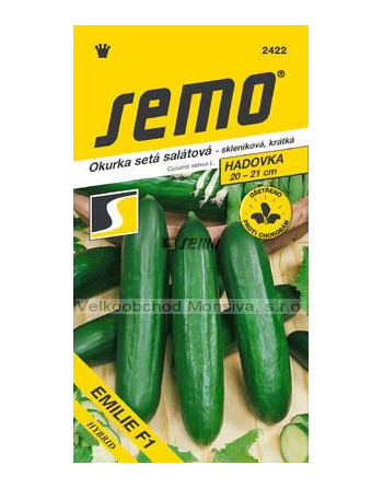 Okurka EMILIE F1 - skleníková, krátká