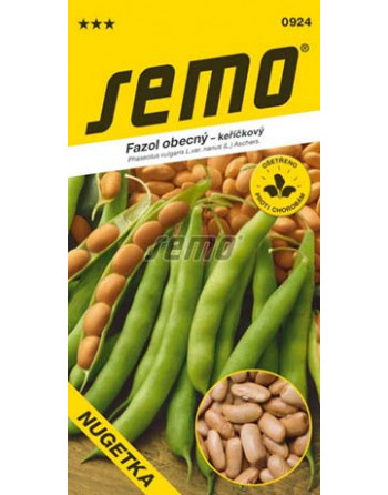 Fazol NUGETKA keříčkový