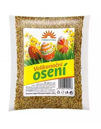 Velikonoční osení 250g (ječmen jarní)