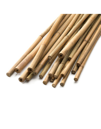 Bambus.tyčka 210 cm