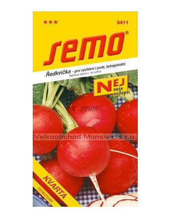 Ředkvička KVARTA tetraploidní