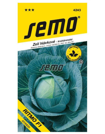 Zelí RITMO F1