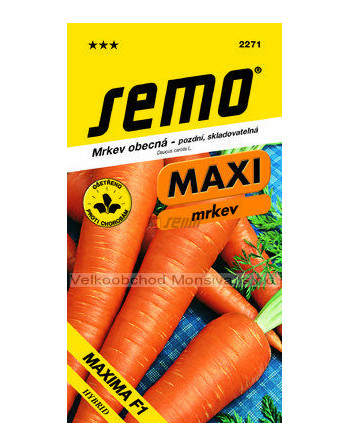 Mrkev BERLIN F1 pozdní (MAXI)