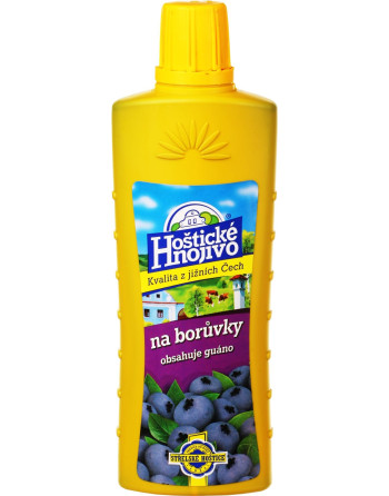 Hoštické na borůvky 0,5 l