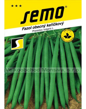 Fazol GAMA - keříčkový,zelenoluský