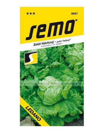 Salát LEDANO polní, ledový