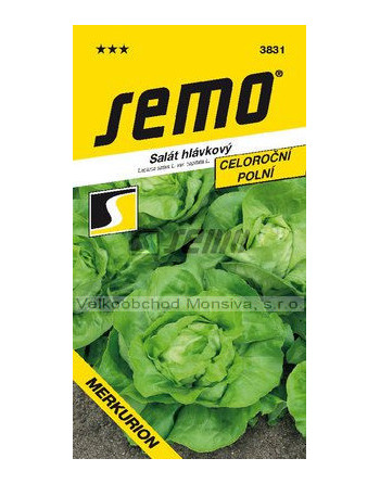 Salát MERKURION polní,celoroční