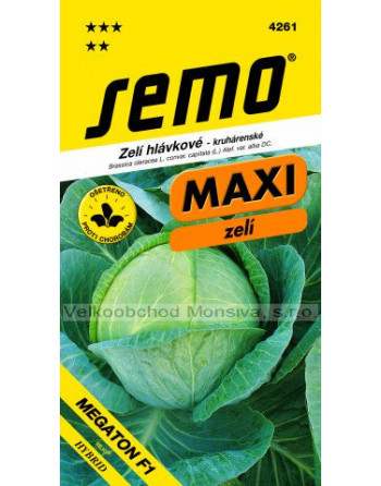 Zelí Megaton F1 MAXI,pozdní,kruhárenské
