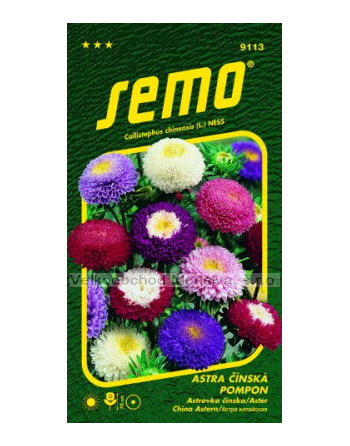 Astra POMPON směs