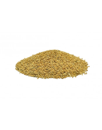 Proso žluté - krmné (25kg/pytel)