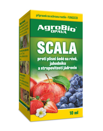 Scala 10ml