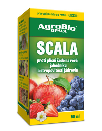 Scala 50ml