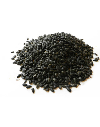 Slunečnice krmná 500 gr