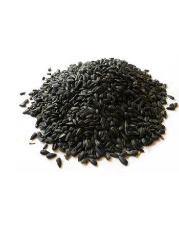 Slunečnice krmná černá (pytel 40kg) *