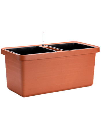 Truhlík samoz. Berberis DUO terakota