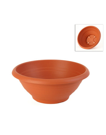 Žardina COSTOLATA 40 cm terra