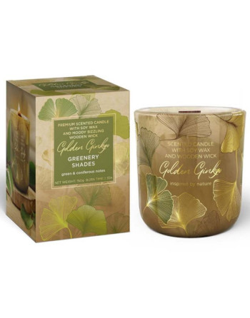 Svíčka ve skle 150g Gingo-Green/dř.knot