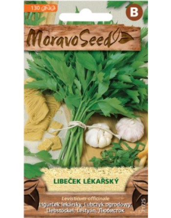Libeček lékařský MS