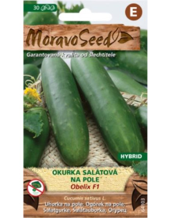 Okurka sal.Obelix F1 MS/polní