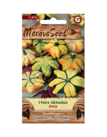 Tykev okrasná Daisy MS