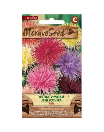 Astra vysoká jehlicovitá mix MS