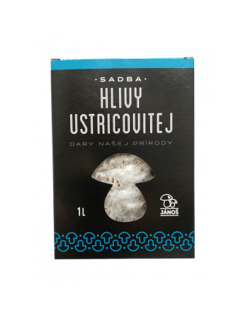 Hlíva sadba (zrno) krabička 1l