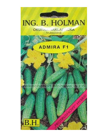 Okurka Admira Holman