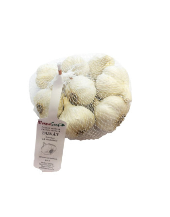 Česnek sadb. DUKAT 4 - 7cib./cca 250g