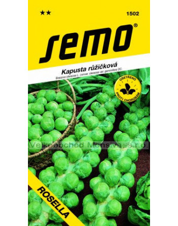 Kapusta růžičková GRONINGER