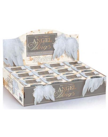 Svíčka v kon.skle 115g Angel Wings