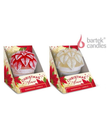 Svíčka Christmas Flowers 70mm/95g v boxu