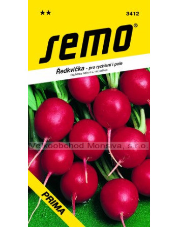 Ředkvička PRIMA k rychlení, pole