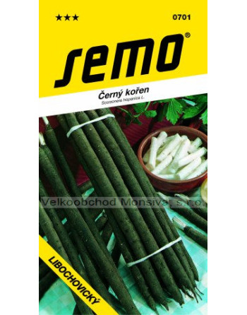 Černý kořen Libochovický