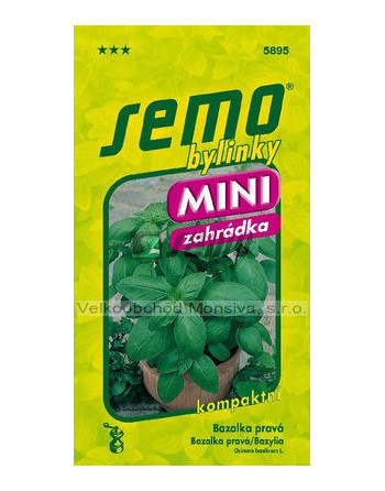 Bazalka pravá MAMMOLO GENOVESE