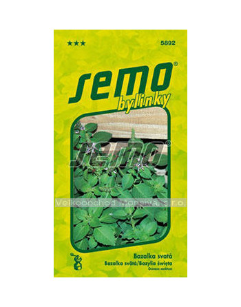 Bazalka svatá THULSI