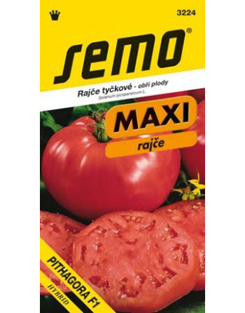 Rajče PITHAGORA F1 - tyčk.maxi červené