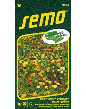 Květinový koberec TISÍCE SVĚTEL