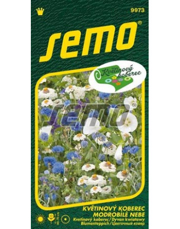 Květinový koberec MODROBÍLÉ NEBE