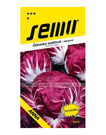 Čekanka salátová PALLA ROSSA 3