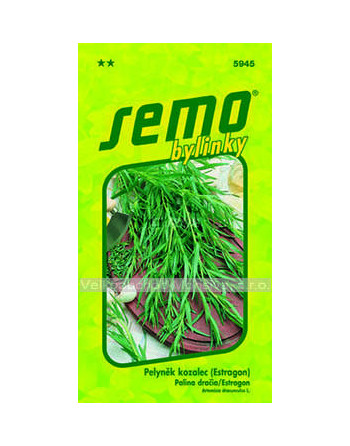 Pelyněk kozalec (Estragon)