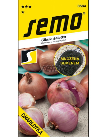 Cibule CHARLOTKA šalotka ze semene,červe