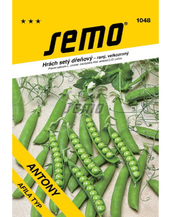 Hrách ANTONY 50g raný,velkozrnný,bezlist