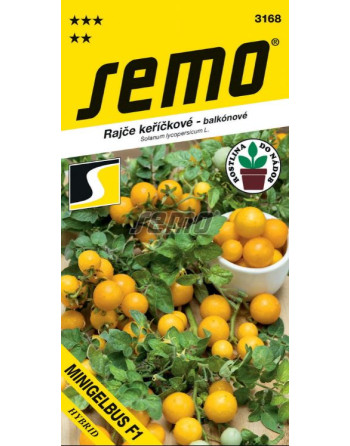 Rajče MINIGELBUS F1 keříčkové